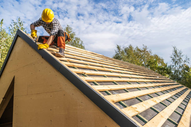 Best Roof Maintenance Services  in Ford Heights, IL